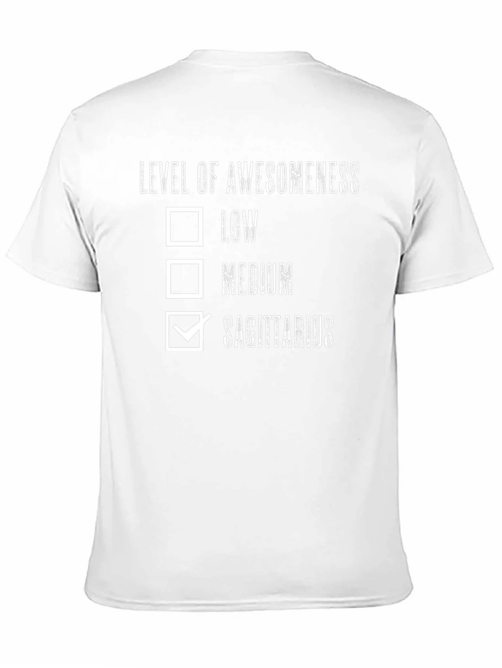 Sagittarius Awesomeness T-Shirt