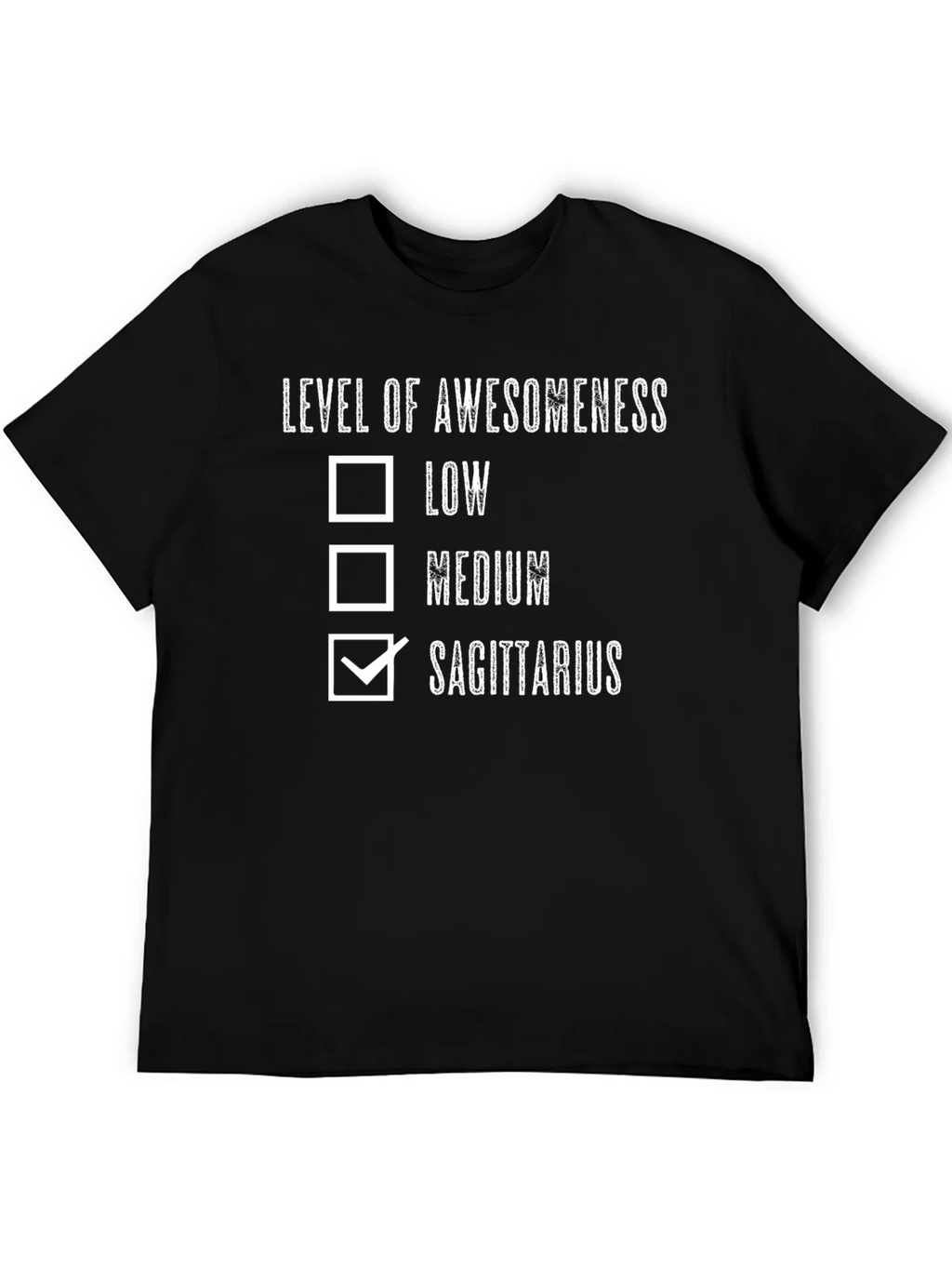 Sagittarius Awesomeness T-Shirt
