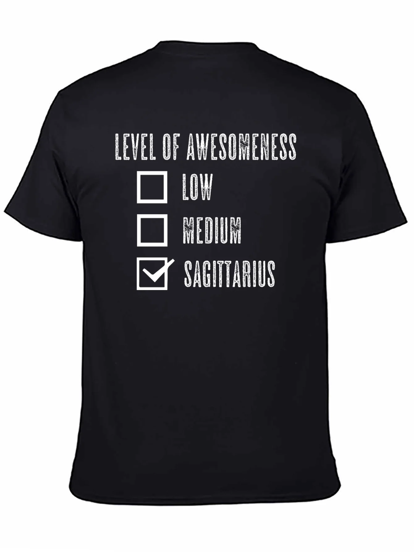 Sagittarius Awesomeness T-Shirt