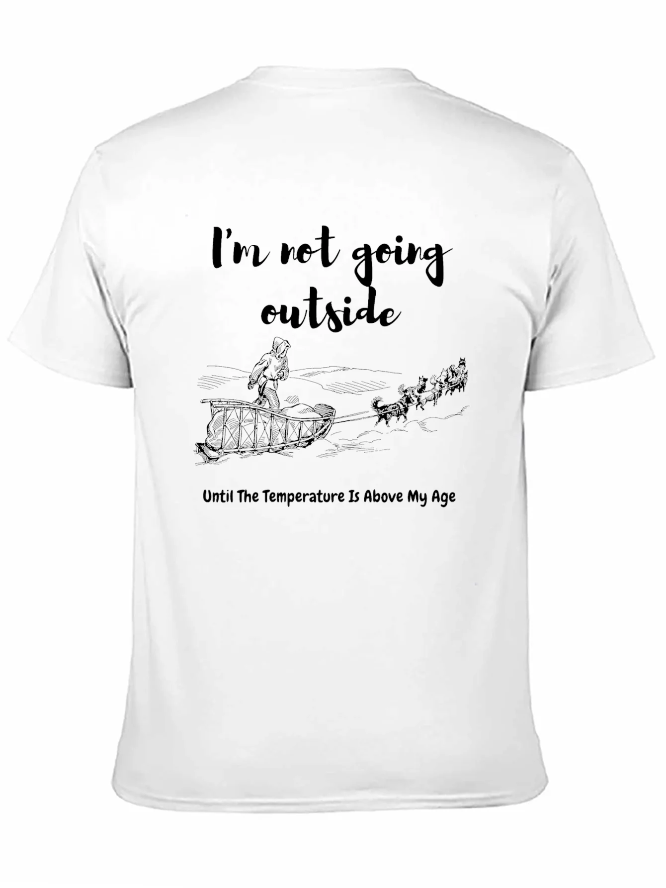 Funny Im Not Going Outside Winter T-Shirt