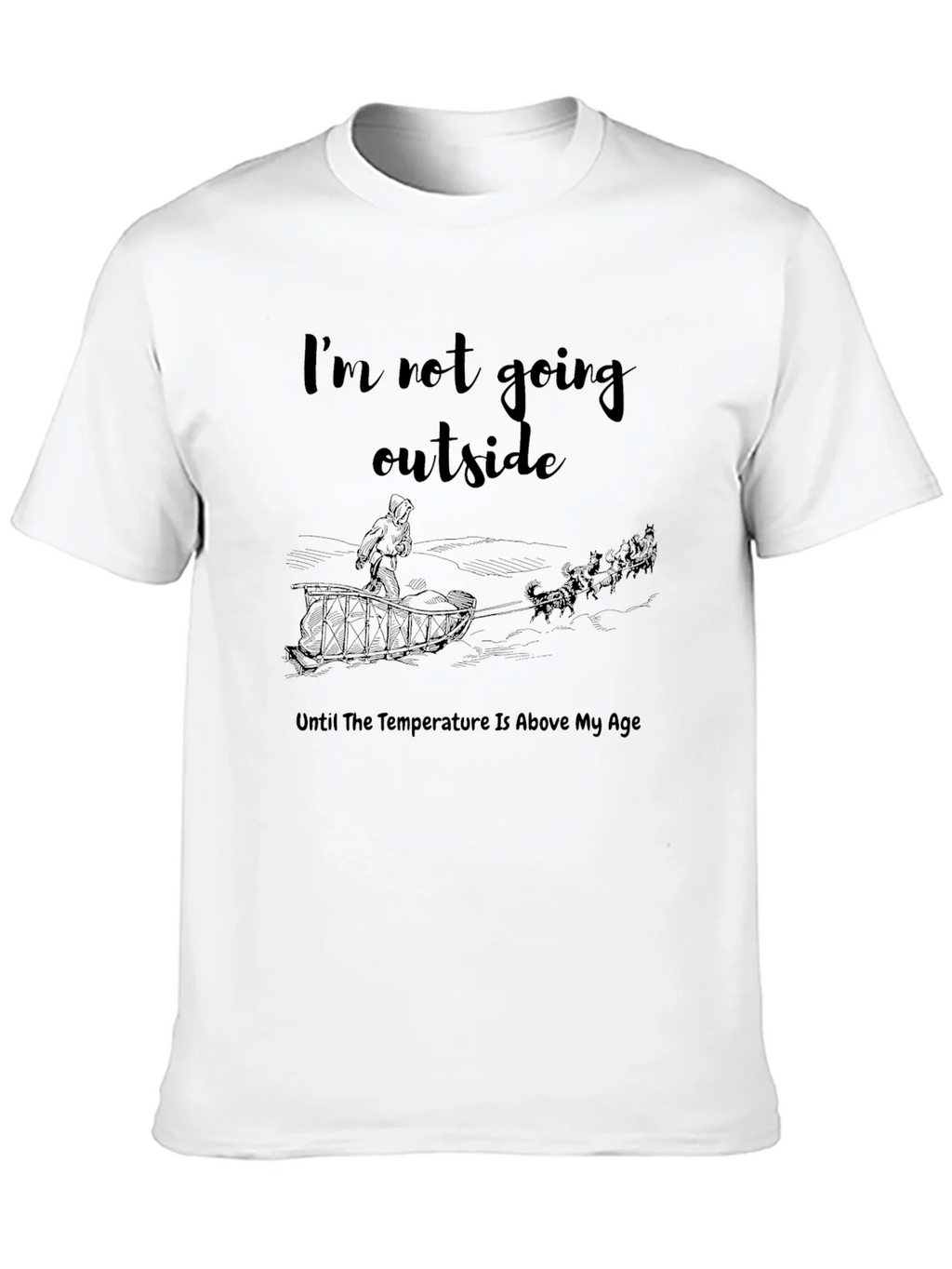 Funny Im Not Going Outside Winter T-Shirt