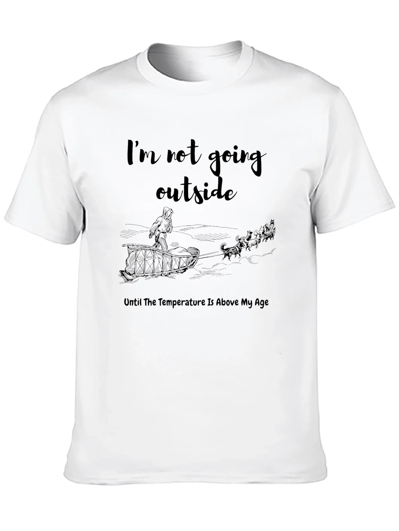 Funny Im Not Going Outside Winter T-Shirt