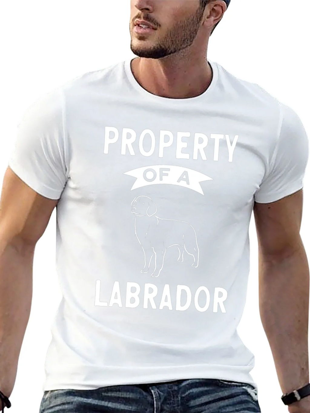 Property of a Labrador T-Shirt Dog Lover Tee